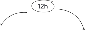 12h-mbl2